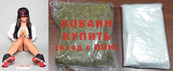 кокс Алексин