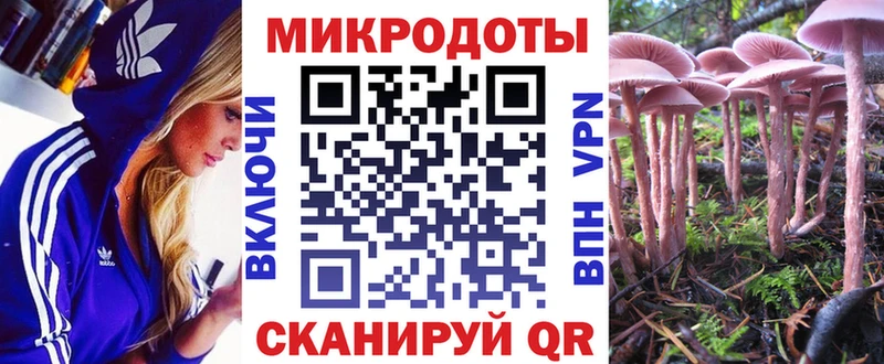 Галлюциногенные грибы прущие грибы  даркнет сайт  KRAKEN ССЫЛКА  Бабаево 
